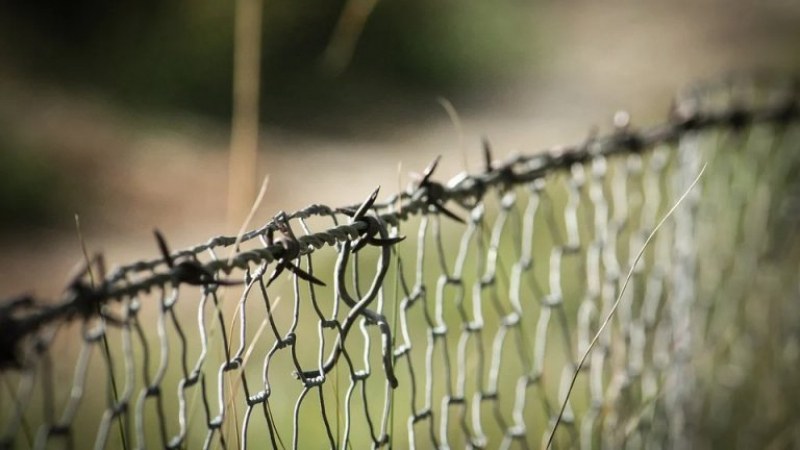 Външно съобщи дали Сърбия вдига телена ограда на границата с България