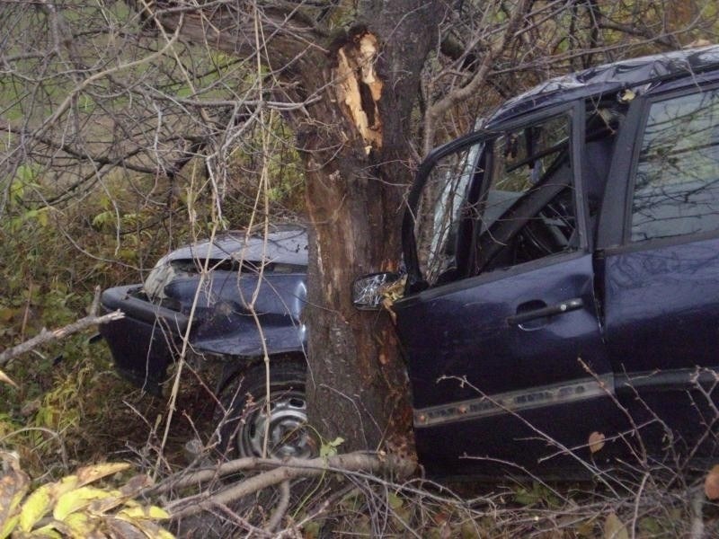Пиян шофьор се заби в дърво, почина след часове