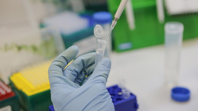 Откритие – ново съединение неутрализира коронавируса