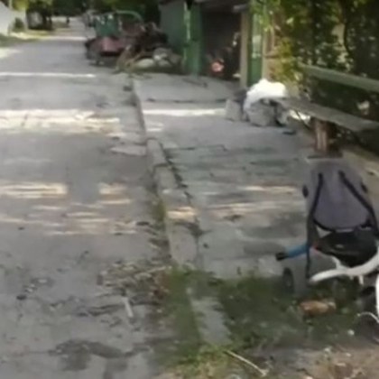 9-годишно с 48 шева на главата след нападение от куче! Стопанинът му го уби