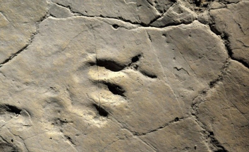 Намериха човешки стъпки на ... 120 000 години   СНИМКИ