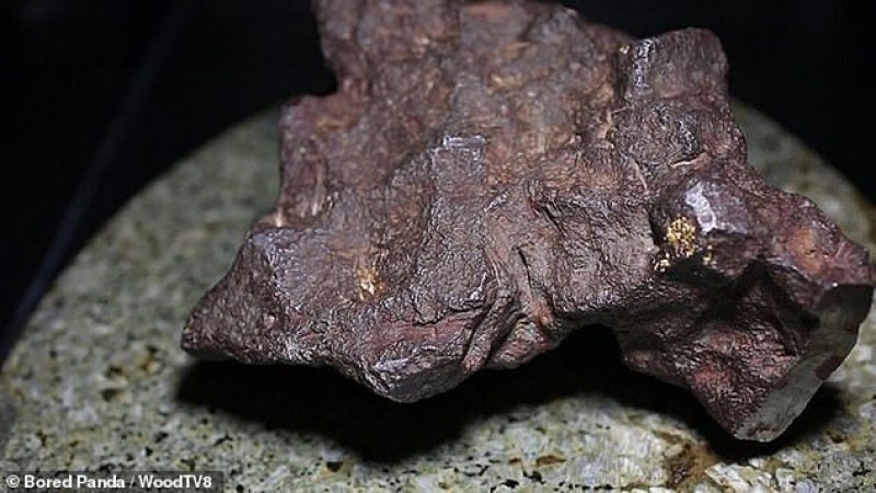 Мъж подпира вратата си с камък с години! Оказа се, че е метеорит за $100 млн.