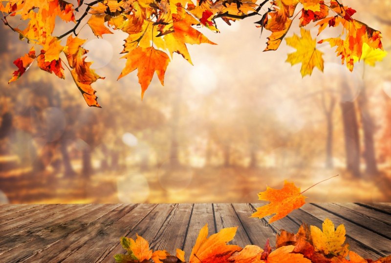 Сутрешни мъгли, слаби ръмежи, хладно време… Есента продължава