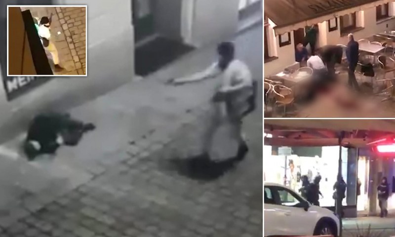Властите във Виена: Зад атаката и стрелбата стоят 