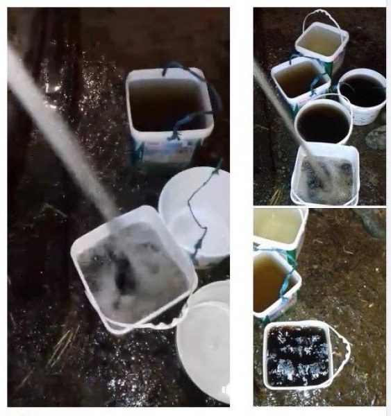 ВиК: Водата в Брестовица е в норма! Местните: Не е!  СНИМКИ