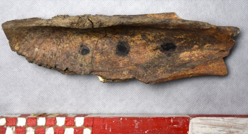 Археолози се натъкнаха на древна кост, използвана за непозната магия!
