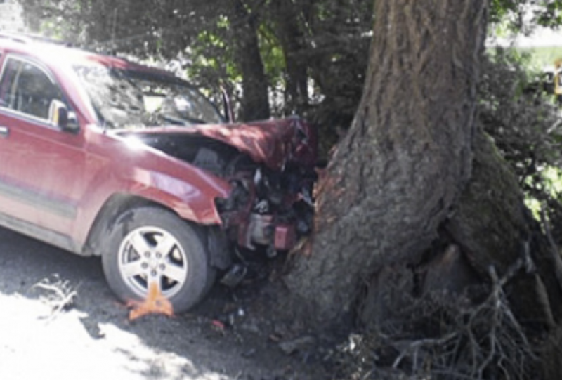 Кола излезе от пътя и се блъсна в дърво, шофьорът загина!