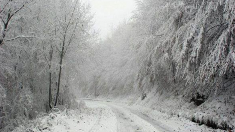 Снежецът продължава да се сипе, градусите в страната до 5