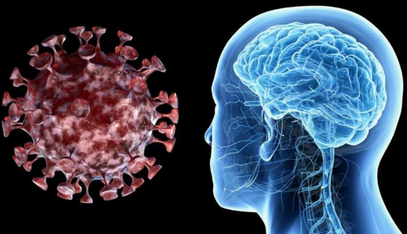 Как вирусът се добира до мозъка ни?