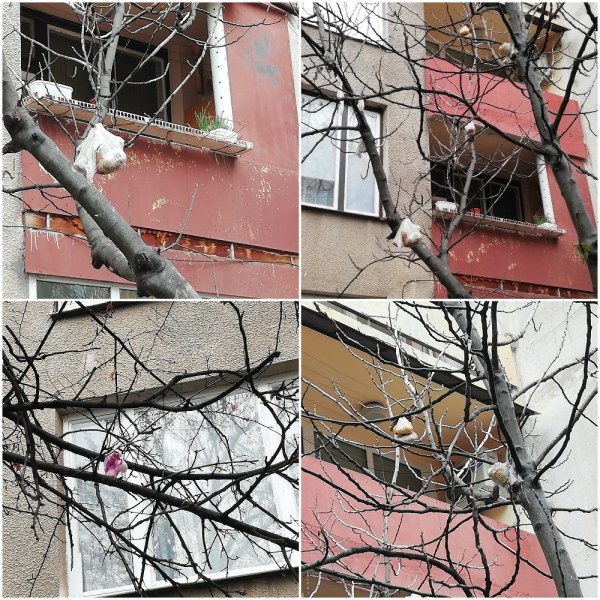 Боклук през терасата - новата коледна украса в Асеновград СНИМКИ
