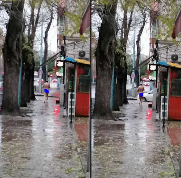 Гол по пловдивски булевард! Ще се погрижи ли някой за него?