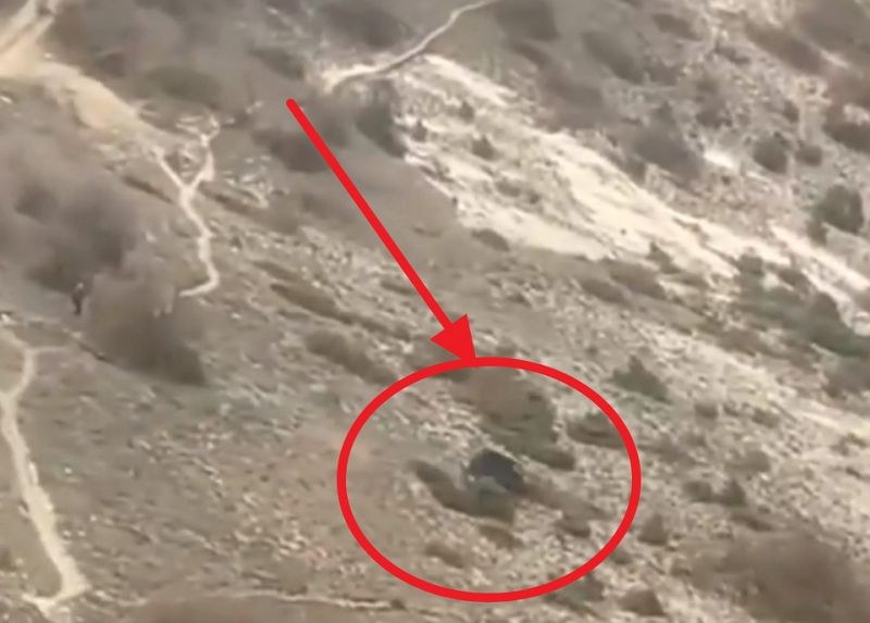Джип с дете полетя от скала! Случайни туристи го записаха на ВИДЕО