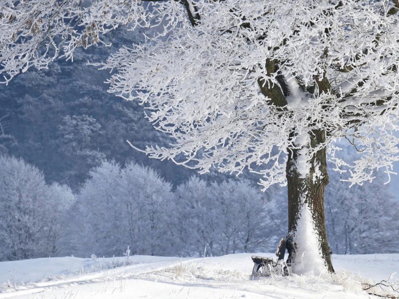 Студ и сняг ни сковават. Докога ще е такова времето в България?