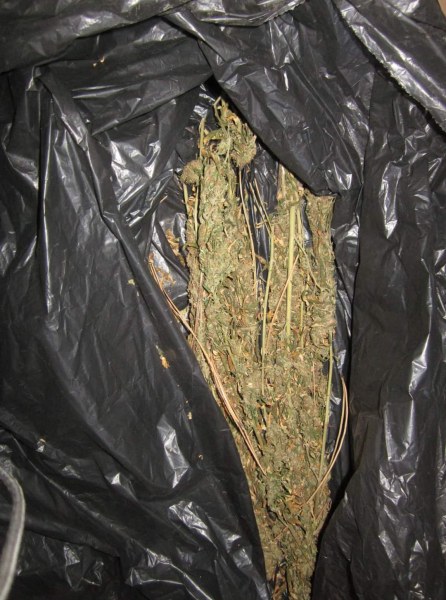 Задържаха над 8 кг марихуана в София, притежателят й ще нощува в ареста