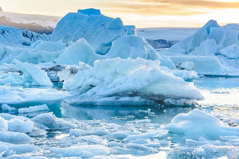 Откриха странни създания на стотици метри под антарктическия лед  СНИМКА