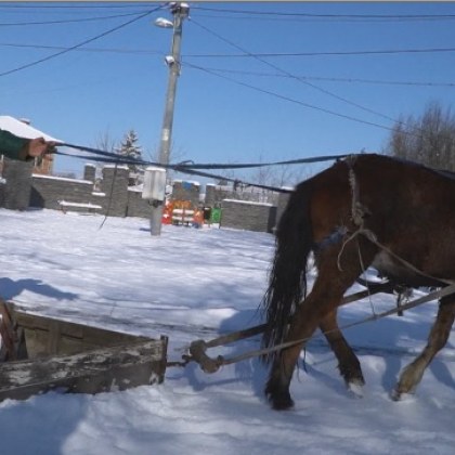 Веска не дърпа ралото – снегорин стана кобилата в пловдивско село!