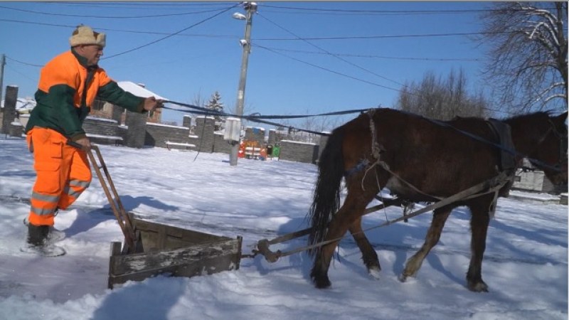 Веска не дърпа ралото – снегорин стана кобилата в пловдивско село!