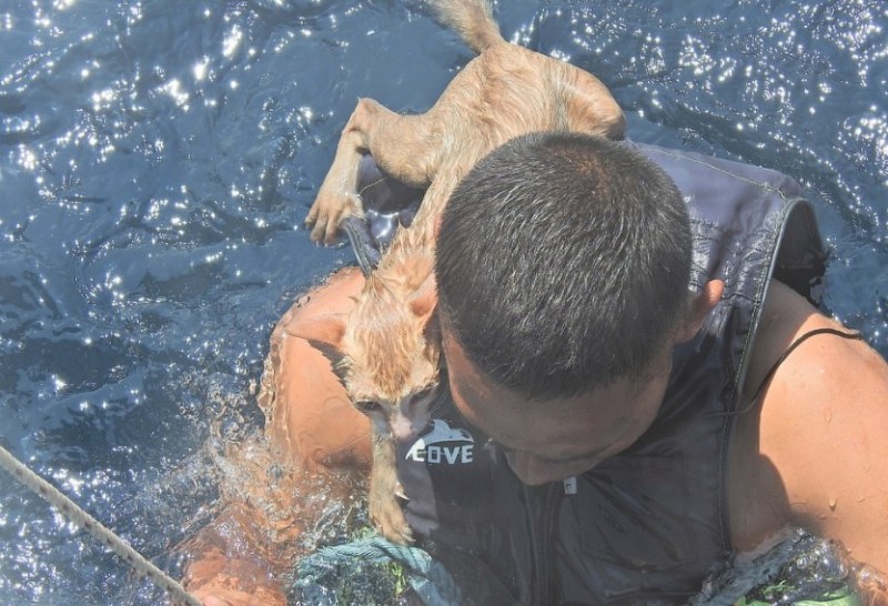 Моряк спаси котки от горящ кораб край Тайланд СНИМКИ