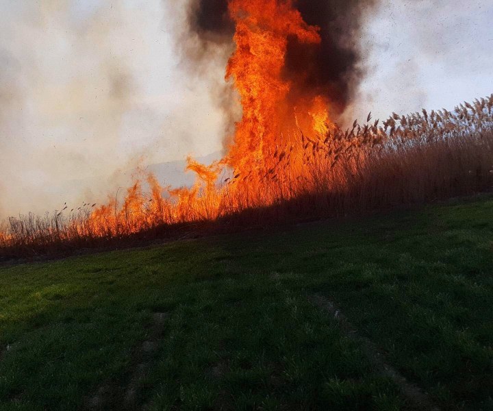 Голям пожар край Пазарджик, засегна 500 декара  СНИМКИ
