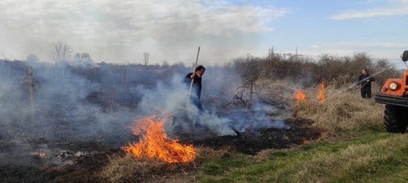 Пожар край Пловдив! Местни жители се борят с пламъците  ВИДЕО