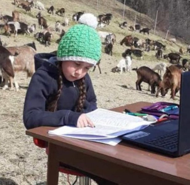 Историята на едно момиченце, онлайн уроци под вятъра и 350 кози. Сред локдауна