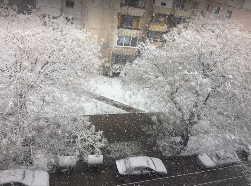 Снежен Пловдив в СНИМКИ