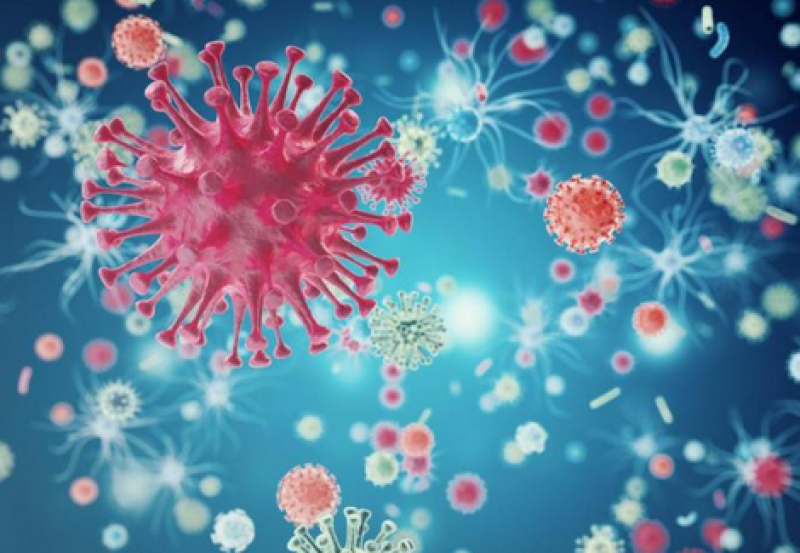 Т-клетките, които ни пазят от К-19, ни защитават и от опасни мутации