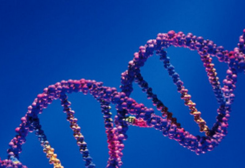 Учени извличат ДНК от въздуха