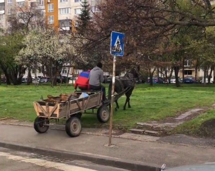 Кръстоносен поход: 