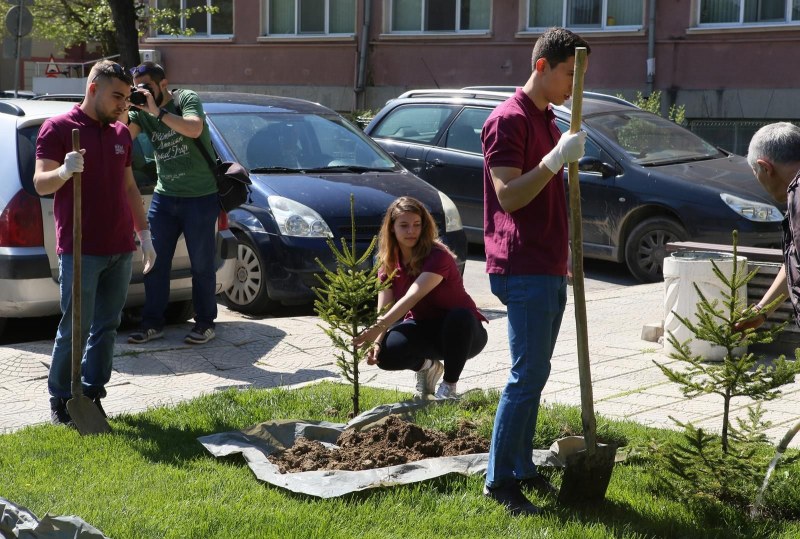 Бъдещи медици засадиха десетки борови дръвчета в Пловдив ВИДЕО
