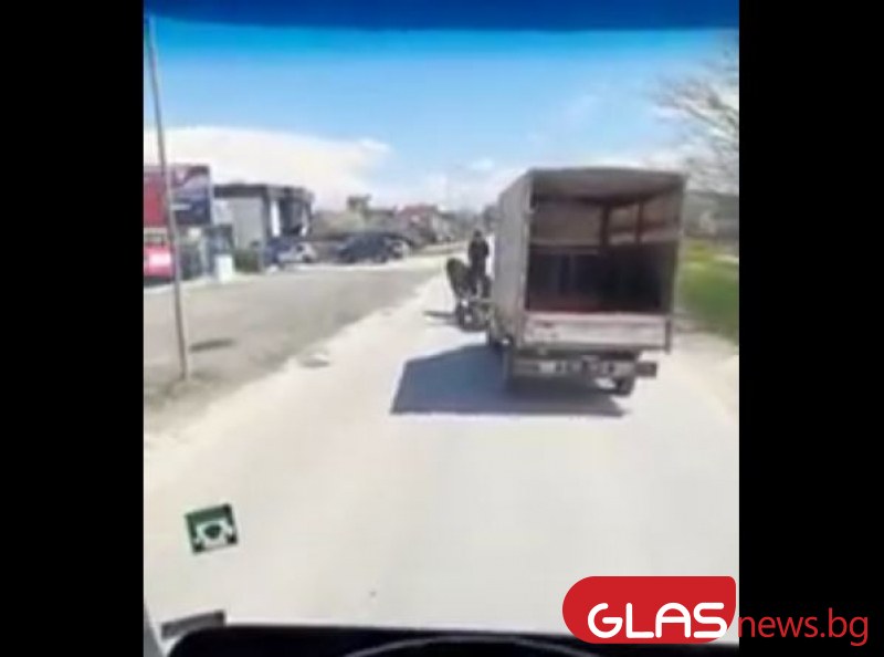 Кон дърпа камион по оживен пловдивски път ВИДЕО