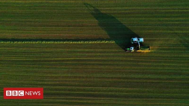 Фермер премести камък на границата и направи Франция по-малка страна