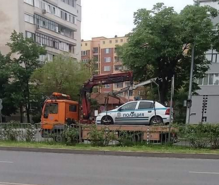 Необичайна гледка в Пловдив: Паяк вдигна патрулка