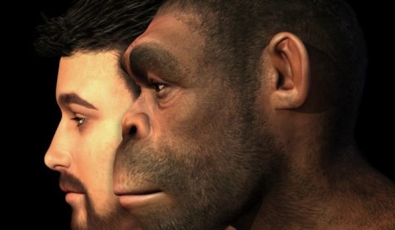 Учени кръстосаха маймуна и човек. Какво следва?