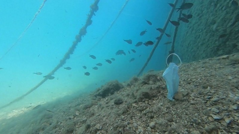 Маските в морето – повече от медузите. Отпадъците ни от COVID кризата