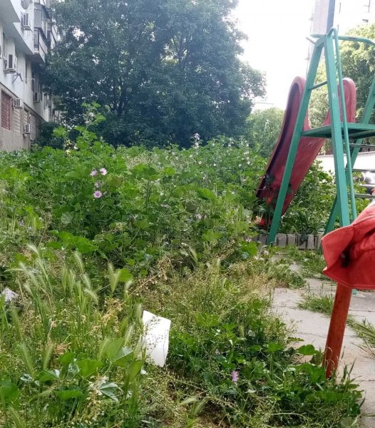 Ужас! Глутница кучета нападнаха жена в Златни пясъци