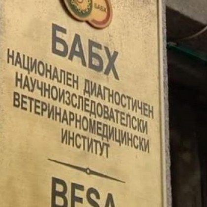 БАБХ вече има нов шеф