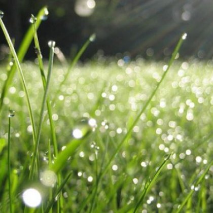 Задава се слънчев уикенд, но от неделя - промяна