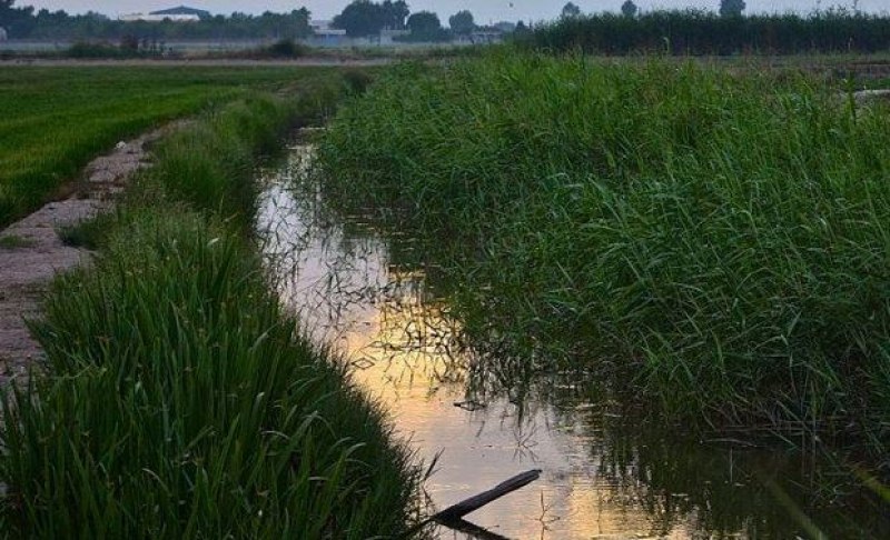 Мъж се удави в мочурище край наше село