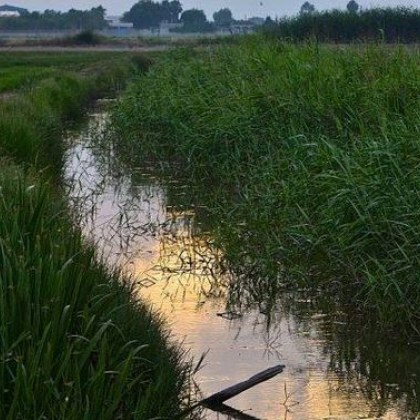 Мъж се удави в мочурище край наше село