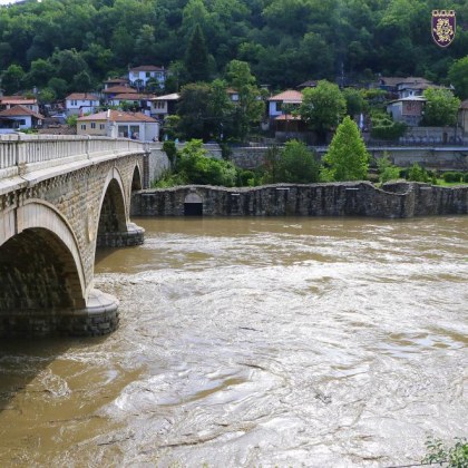 Пожарникари спасиха давещо се кученце в река Янтра