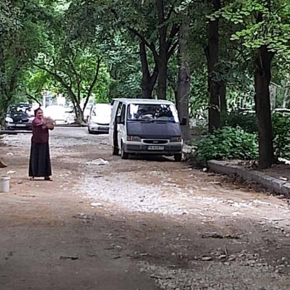 Роми плъзнаха из парковете на Пловдив, метат липов цвят от калта СНИМКИ