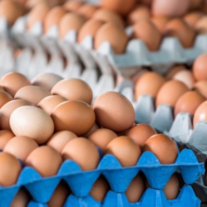 Яйца за преработка – с печат и по магазините! Кой ги внася, опасни ли са?
