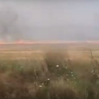 Огромни пламъци край АМ "Тракия" ВИДЕО
