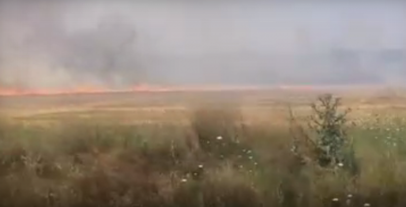 Огромни пламъци край АМ "Тракия" ВИДЕО