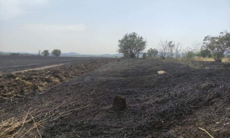 Голям пожар в Пловдивско! Унищожен е трудът на десетки хора
