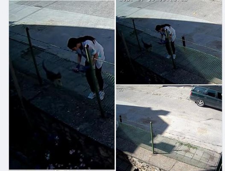 Мъж натопи жена, че нахрани котка в Асеновград, но всички подкрепиха нея
