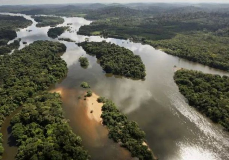 Защо не е построен нито един мост над Амазонка?