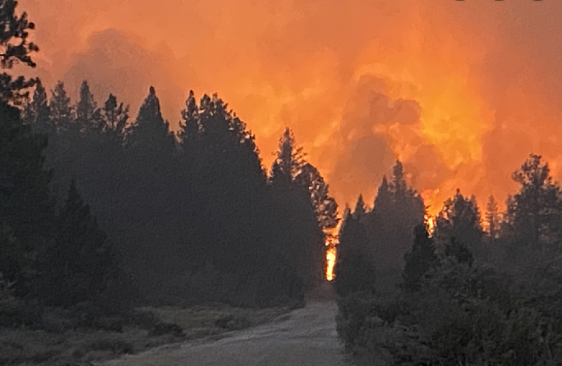 Огнен ад бушува в Орегон. Стотици къщи изгоряха, а хиляди местни са евакуирани