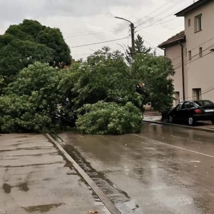 Монтана още се възстановява от бурята, пожарникари разчистват щетите СНИМКИ